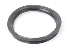 BMW Mini R50 R53 Cabrio R52 Z8 E52 X5 E53 Kuro siurblio sandariklis 16141182905 Originalus