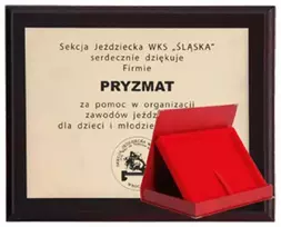 Tryumf Plastikinis diplomas su graviruotu laminatu + dėklas 250x200 mm