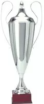 Tryumf Sidabrinis metalinis puodelis T-D 1042-N/B