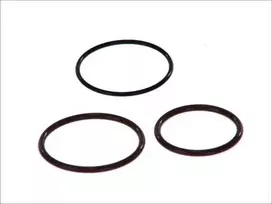 BOSCH remonto rinkinys, siurblio ir purkštuko blokas F00H4S0001 OEN504110736