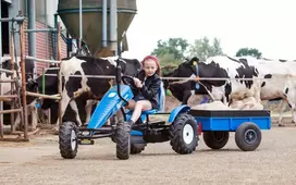 Mašinėlė BERG GO-kart New Holland BFR-3