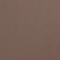 Automatinė ištraukiama markizė, rudos spalvos, 300x250cm