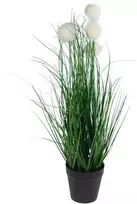 Dirbtinė pampų žolė vazonėlyje, 50 cm