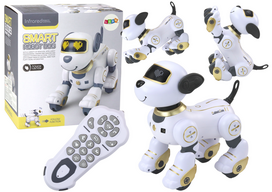 Robotas - šuo su nuotolinio valdymo pultu, auksinis