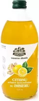 Citrinų arbatos koncentratas su imbieru Žolynėlis 520 ml