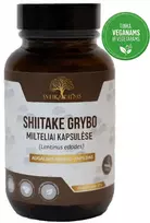 Sveikadienis Shiitake grybas kapsulėse – energijai