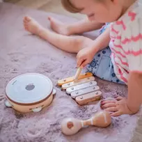 Viga Toys VIGA PolarB muzikos instrumentų rinkinys su ežiuku