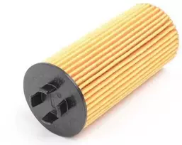 5L 5 litrų ORIGINALUS BMW variklio alyva 5W30 LongLife-04 + alyvos filtras 11428570590