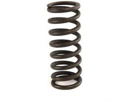 BMW suspaudimo spyruoklė 21522227764