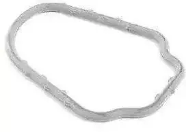 Originalus Porsche vandens siurblio termostato korpuso tarpiklis Cayenne OEM 95510611500