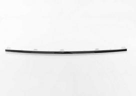 VAG Naujas originalus VW PASSAT CC (2009-2012) galinio bamperio centrinis apdailos elementas 3C8807443A2ZZ OEM