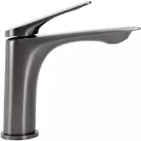 Praustuvo maišytuvas Rea Avalon Low, Titanium