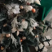 Saska Garden Kalėdinė eglutė su virve Klara Snow 70cm
