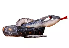 Pliušinis žaislas Gyvatė, pilka, 210 cm