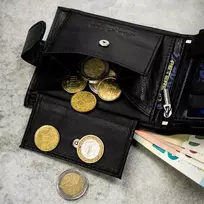 Piniginės ir diržo rinkinys vyrams Peterson PTN SET N992L-DOT