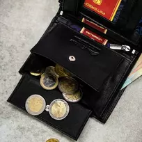 Piniginės ir diržo rinkinys vyrams Peterson PTN SET N4-DOT