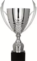Detal Sidabrinis metalinis puodelis