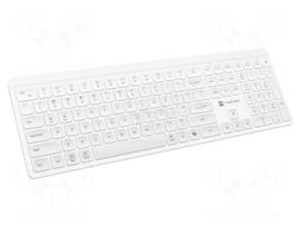 Keypad: computer | TANG | white | USB A | wireless,US layout