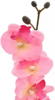 Dirbtinė orchidėjų augalas Rožinė 36 x 10 x 30 cm