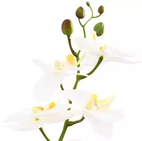 Dirbtinė orchidėja su vazonu Balta 45 x 15 x 65 cm
