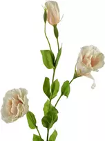Mondex Since 1986 VIRIDIS Dirbtinė gėlė Eustoma 70cm gumuota