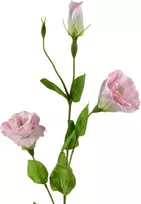 Mondex Since 1986 VIRIDIS Dirbtinė gėlė Eustoma 70cm gumuota