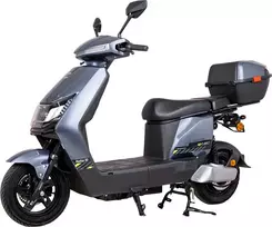 Elektrinis motoroleris W-TEC Raike II 10”