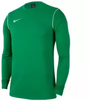 Nike Y Dry Park 20 Crew Jr Džemperis BV6901 302
