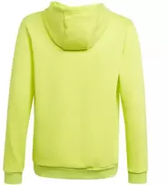 Adidas Entrada 22 Hoody Jr HC5069 džemperis