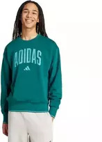 Vyrų adidas Koleginis džemperis Žalias JM1733