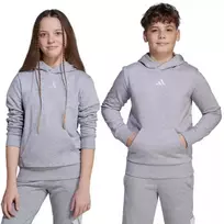 adidas Essentials bliuzonas su gobtuvu vaikams, pilkas JV9995