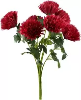 Mondex Since 1986 VIRIDIS 7 chrizantemų puokštė 57 cm