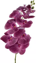 Mondex Since 1986 VIRIDIS žiedinė orchidėjos šakelė 90 cm