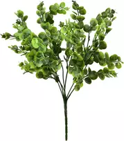 Mondex Since 1986 VIRIDIS Buksmedžio puokštė 37 cm