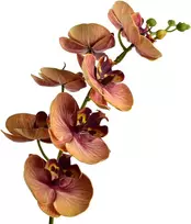 Mondex Since 1986 VIRIDIS dirbtinė gėlė orchidėja 85 cm