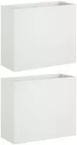Sodo vazonas 2 vnt. Balta 50 x 20 x 40 cm