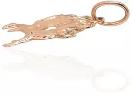 Diamond Sky Jewelry Auksinis zodiako ženklo pakabukas „Dvyniai III“
