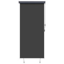 vidaXL Lauko roletas, antracito spalvos, 120x250cm