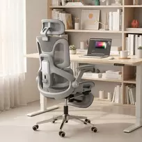 Aosom Ergonominė biuro kėdė su tinkliniu atlošu, juosmens atrama ir 4D pakeliamais porankiais, pilka, 67 x 74 x 113-132 cm