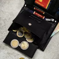 Piniginės ir diržo rinkinys vyrams Peterson PTN SET N4-DOT