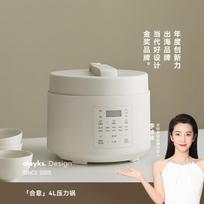 Olayks Instant 24L Electric Pressure Cooker Single Liner - Ceramic Glaze white