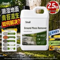 Moss Remover Liquid for Cement, Walls, Red Brick, and Stone Slabs – Green Algae Cleaner white