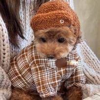 Šilta medvilninė augintinio liemenė Šunų žiemos paltas Mažas Vidutinis Didelis Dydis Snow Terrier Teddy Pudelis Šunų Drabužiai L Back Length 34cm, Fit 8-10kg