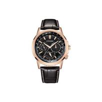 Citizen Eco-Drive Series Solar Powered Watch Men watches Gold BU2023-12E Rose Gold gray