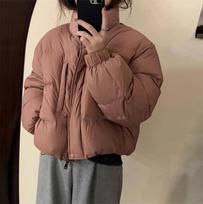 Small Korean stand-up collar short down jacket 2025 winter simple loose and thin bread jacket top jacket women average size brown