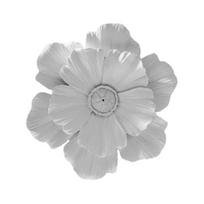 Wall Art Decor 3D Resin Flower Decoration, Modern Floral Sculpture, Relief Hanging Ornament for Living Room, Home, Office balta