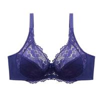 Sexy Plus Size Brace Gathering Patogus liemenėlės apatinis trikotažas moterims 40/90E violetinė