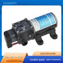 High-Pressure 80W Miniature Diaphragm Pump for Pesticide Spraying & Car Washing 12V-80W YA