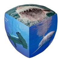 Galvosūkis V-Cube 2b (lenktas) - Rykliai