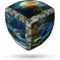 Galvosūkis V-Cube 2 - JŪROS PASAULIS
